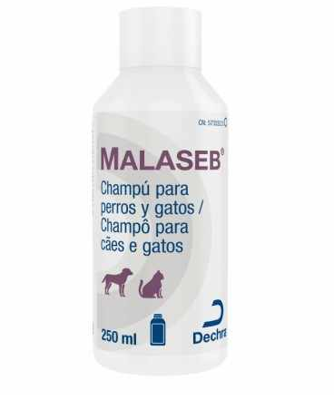 szampon dla psów malaseb